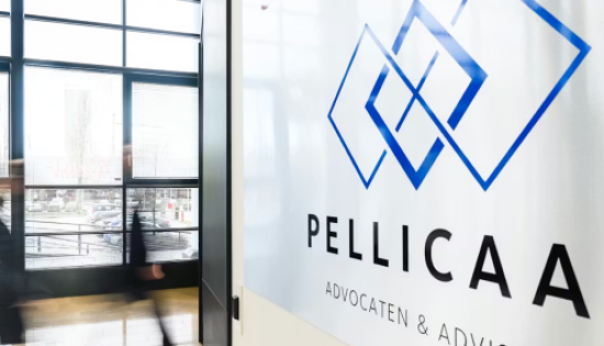 Schijnzelfstandigheid blijft onder controle Werken met zzp'ers onder €38 = juridisch risico